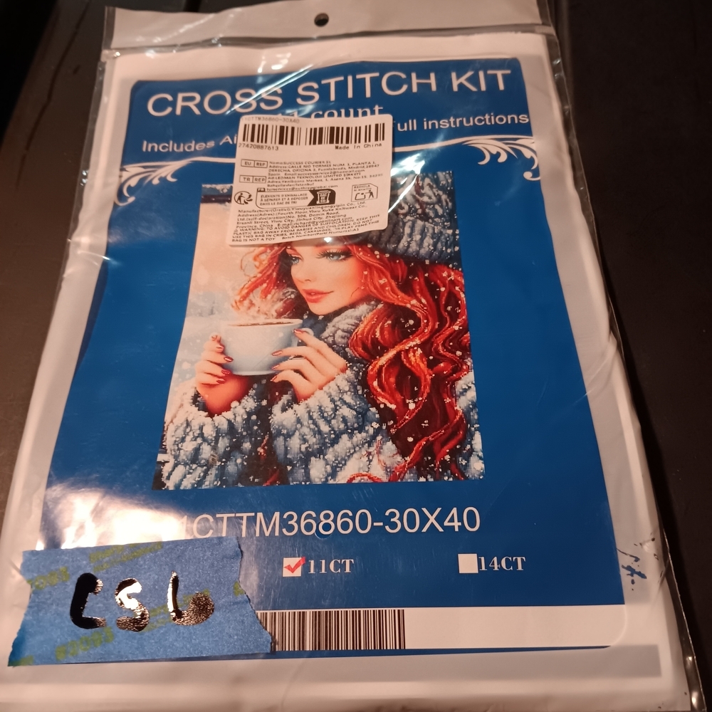Cross Stitch Kit  Woman with Winter Scene 30x40